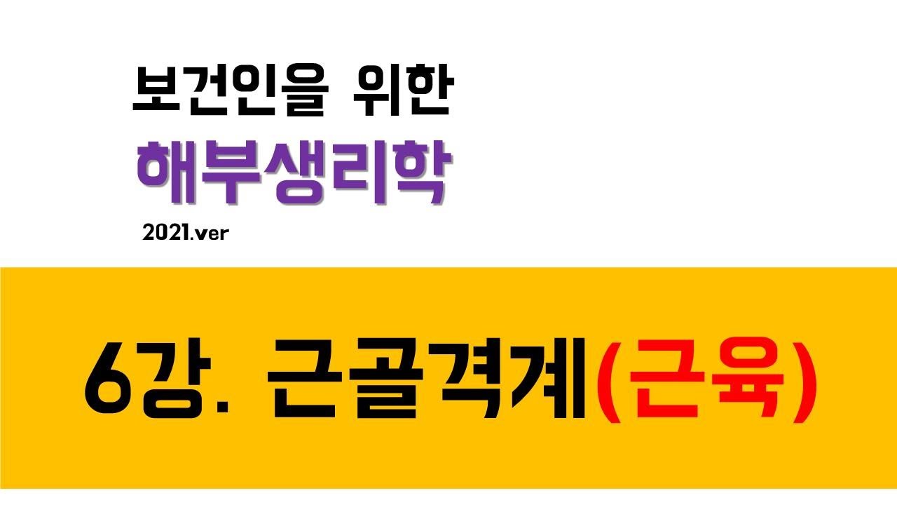 해부생리학) 6강. 근골격계(근육)