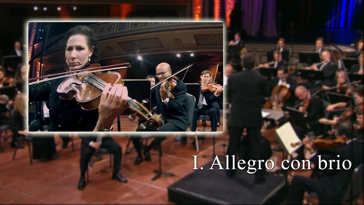 Beethoven 5th Symphony, Mov I (Viola)