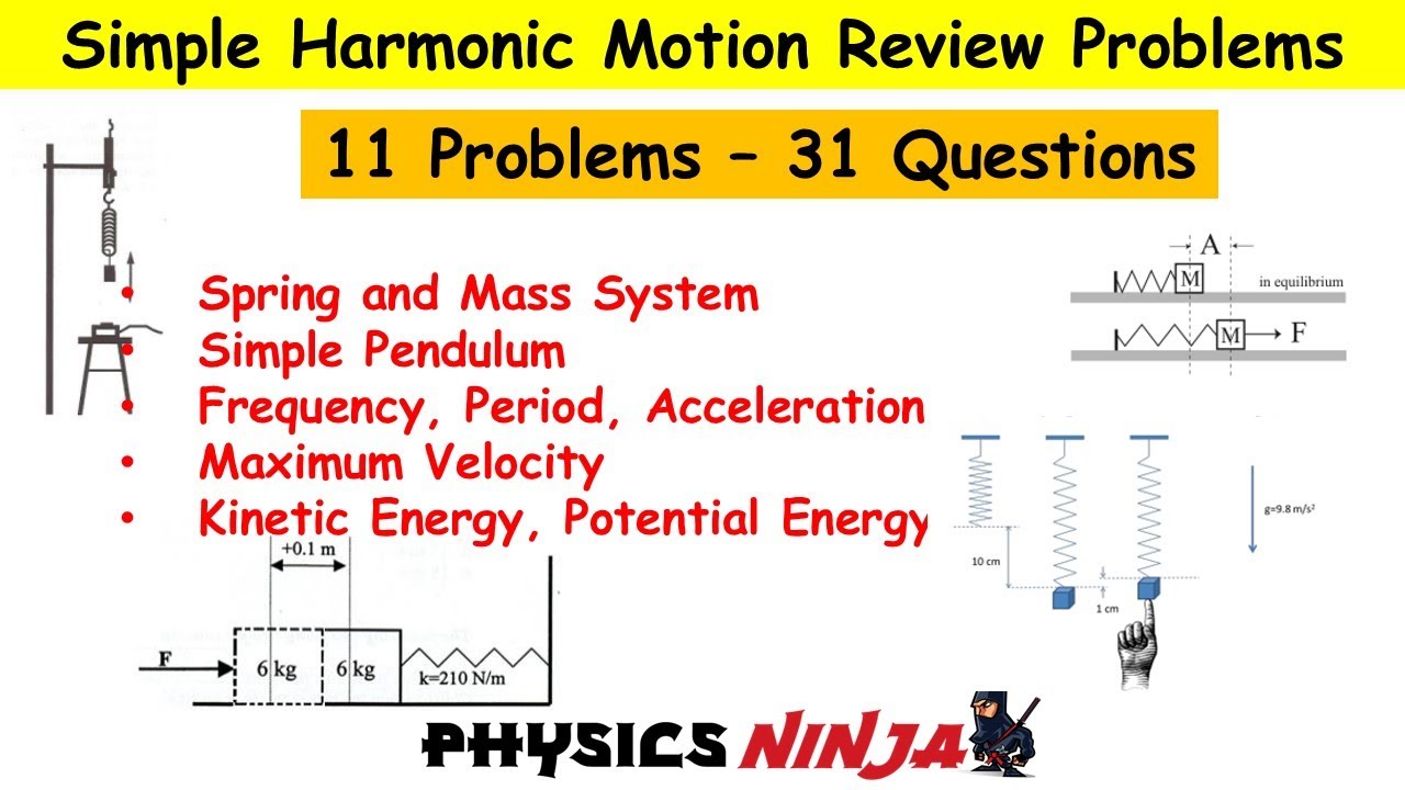 Simple Harmonic Motion Review