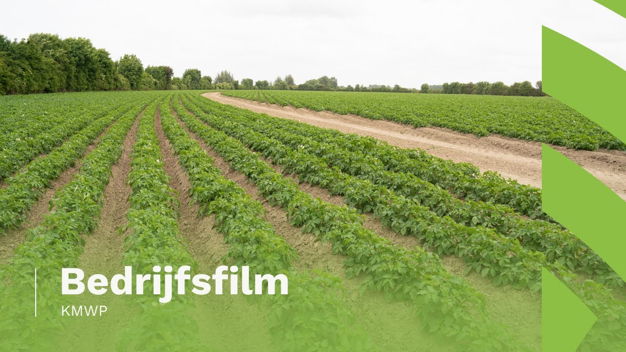 Bedrijfsfilm Koninklijke Maatschap de Wilhelminapolder