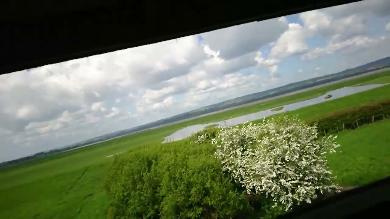 Slimbridge Wetlands Part 8