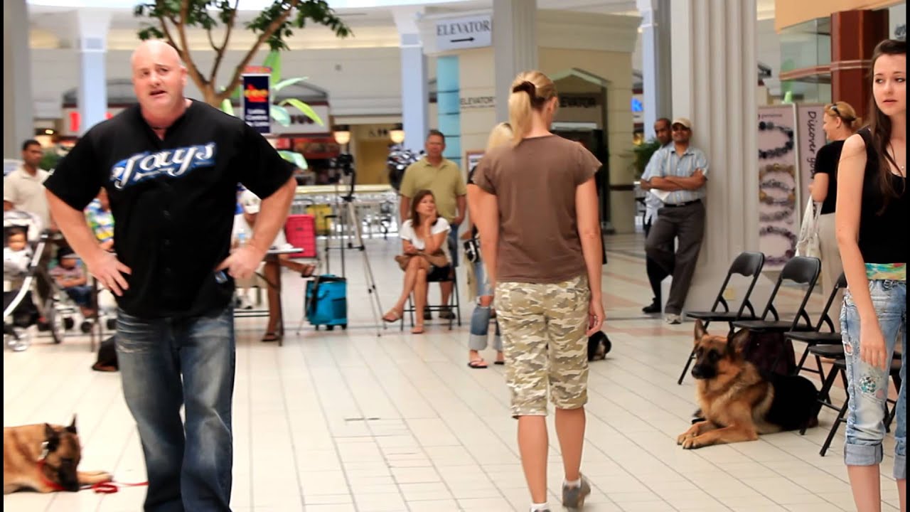BEYOND THE LEASH K9 DOG OBEDIENCE SHOW IN A LOCAL MALL part 1