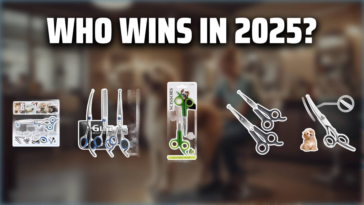 The Top 5 Best Dog Grooming Scissors in 2025 - Must Watch Before Buying!