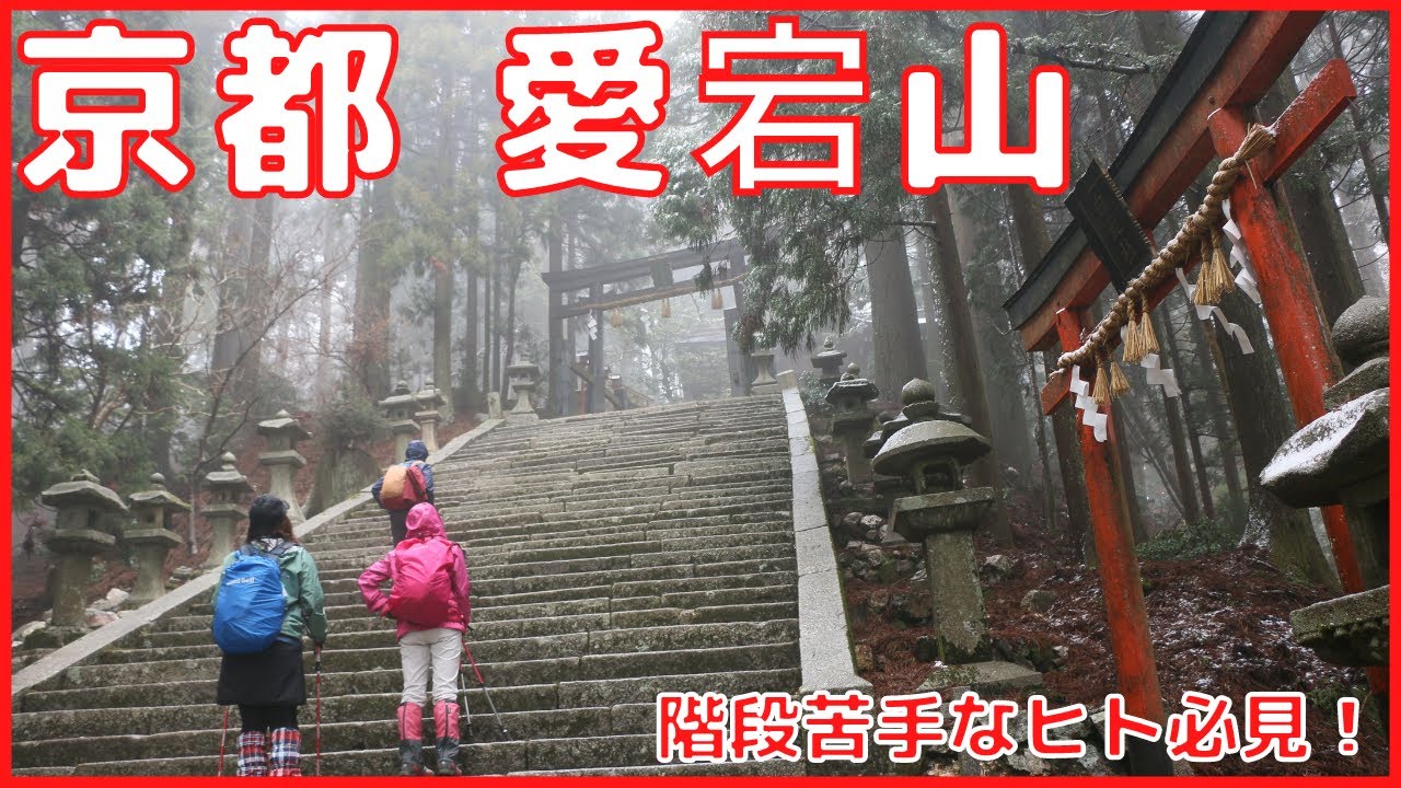 【階段苦手なヒト必見】京都府の愛宕山！登山初心者におすすめルート・アクセスを解説