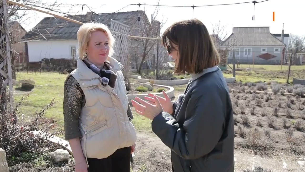 Что делать с кустом хризантемы весной