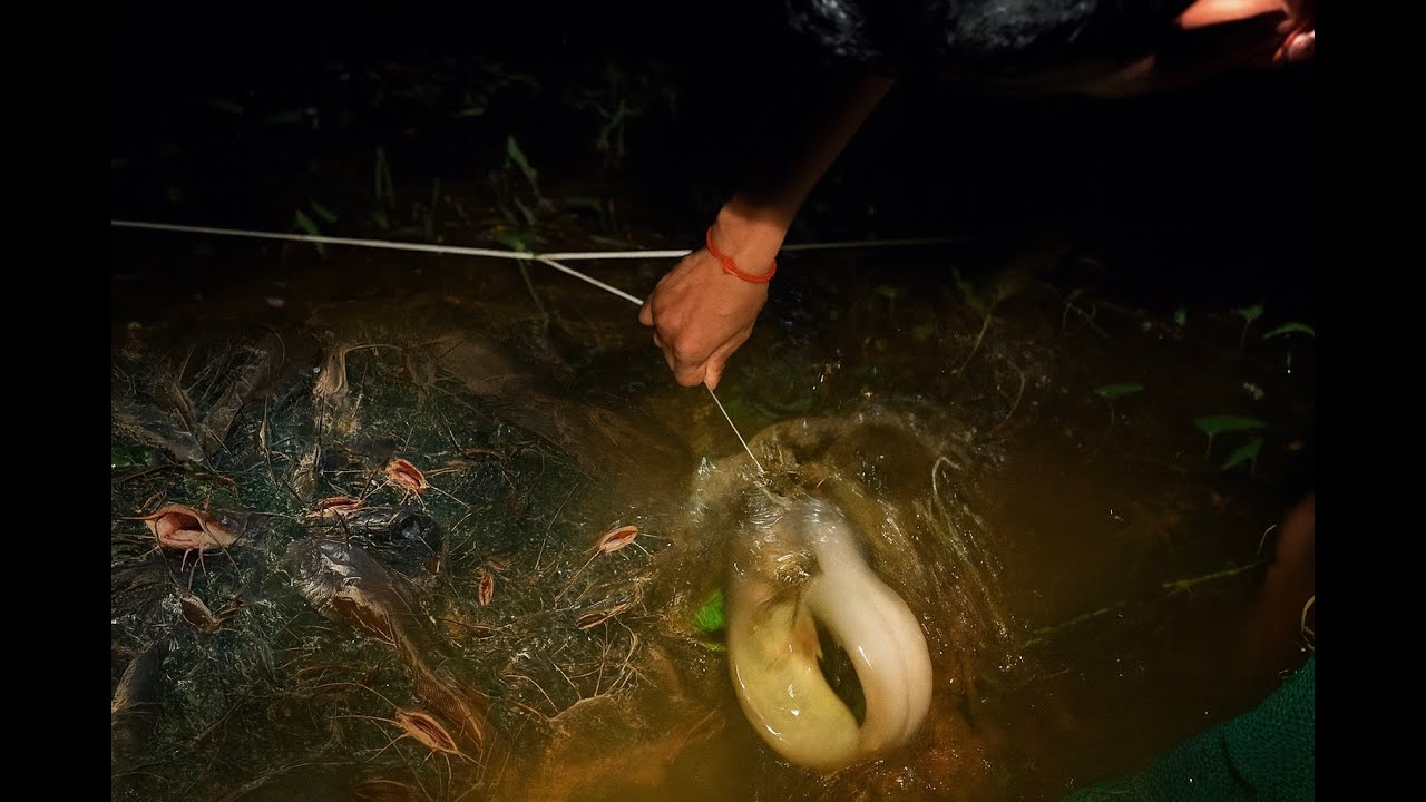 How to Catch Big Fish: Proven Fishing Tips & Tricks for 2025 Country style