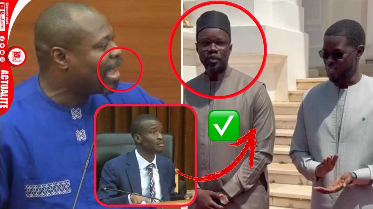 Guy enflamme A.N & interpelle Me Bamba