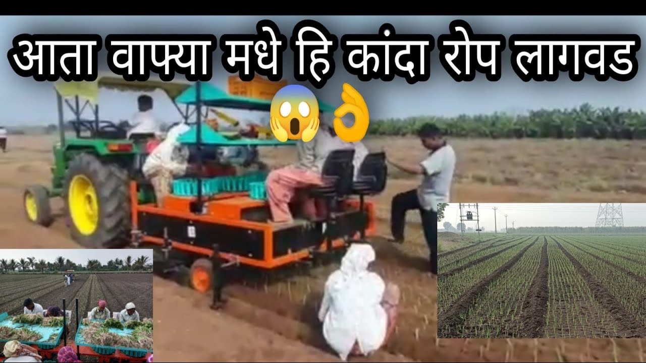 वाफ्या मध्ये कांदा रोप लागवड यंत्र | SP Agro Kanda लागवड यंत्र Contact-8999095409