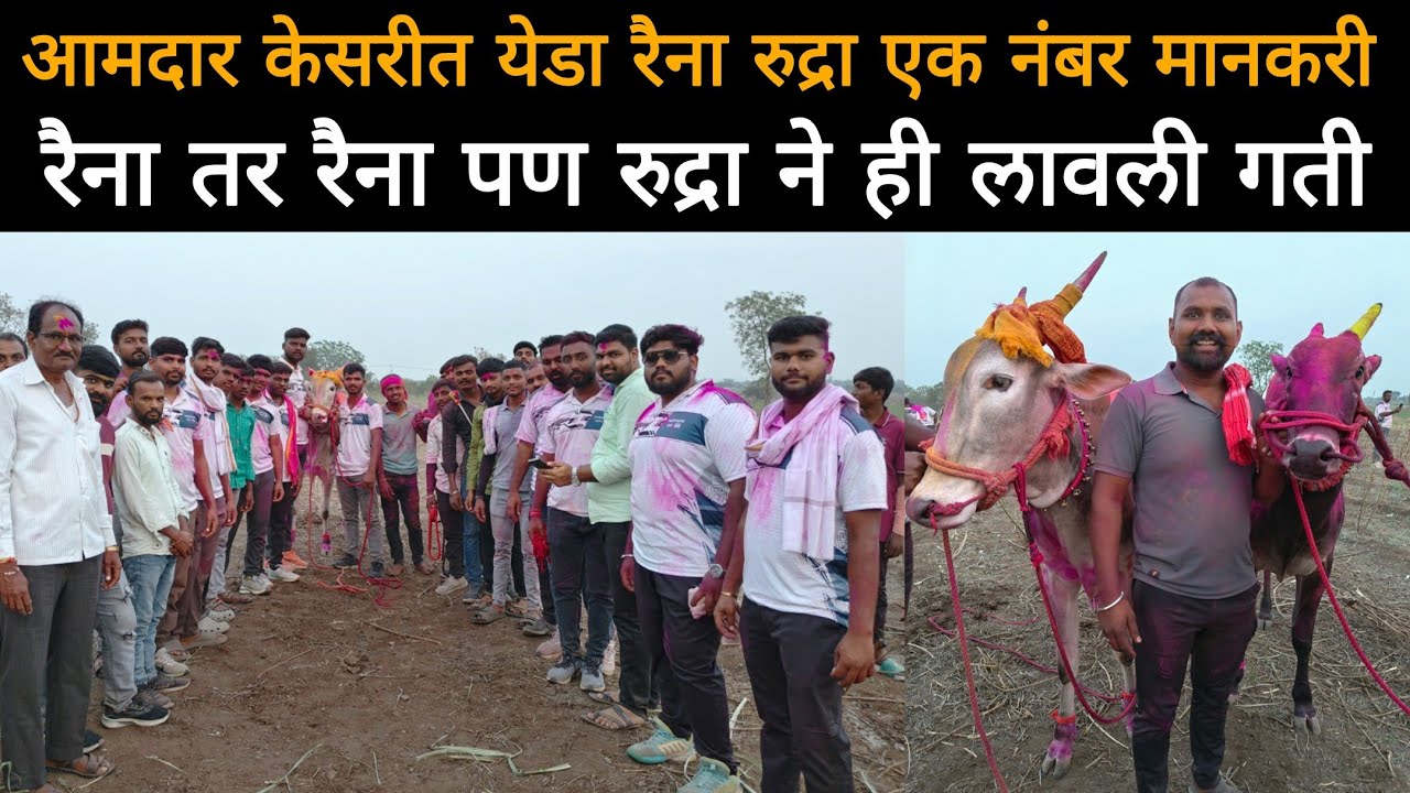 आमदार केसरी मैदानात येडा रैना आणि रुद्रा एक नंबरचे मानकरी |