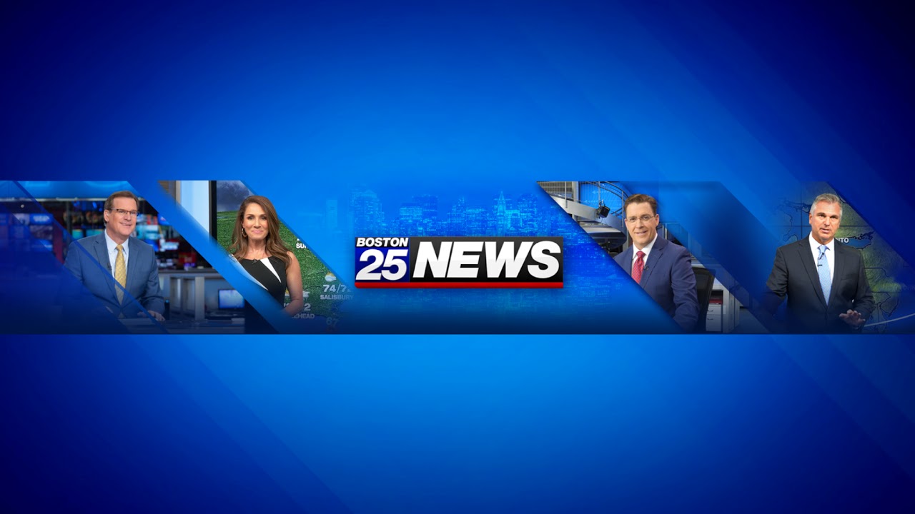 WATCH LIVE: Karen Read returns to court for hearing on dog bite expert, new retrial date.