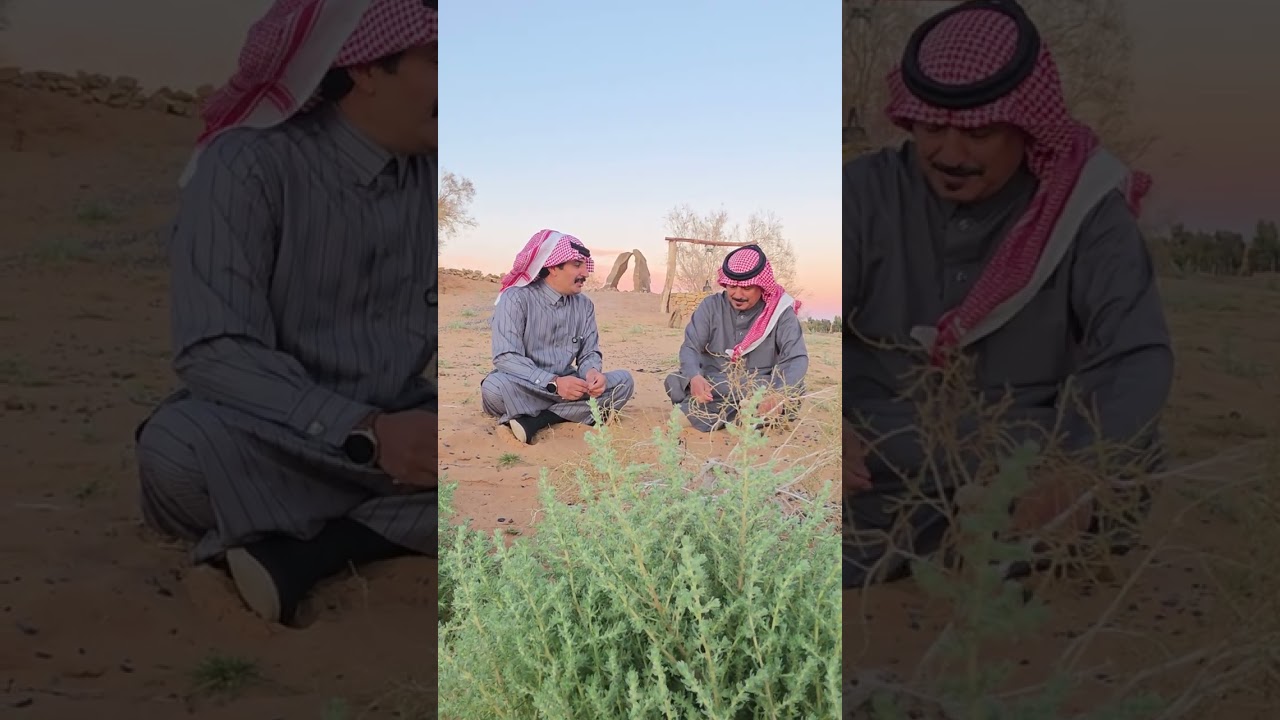 قصة حب قديمة حصلت بمنطقتنا وكانت النهاية حزينة