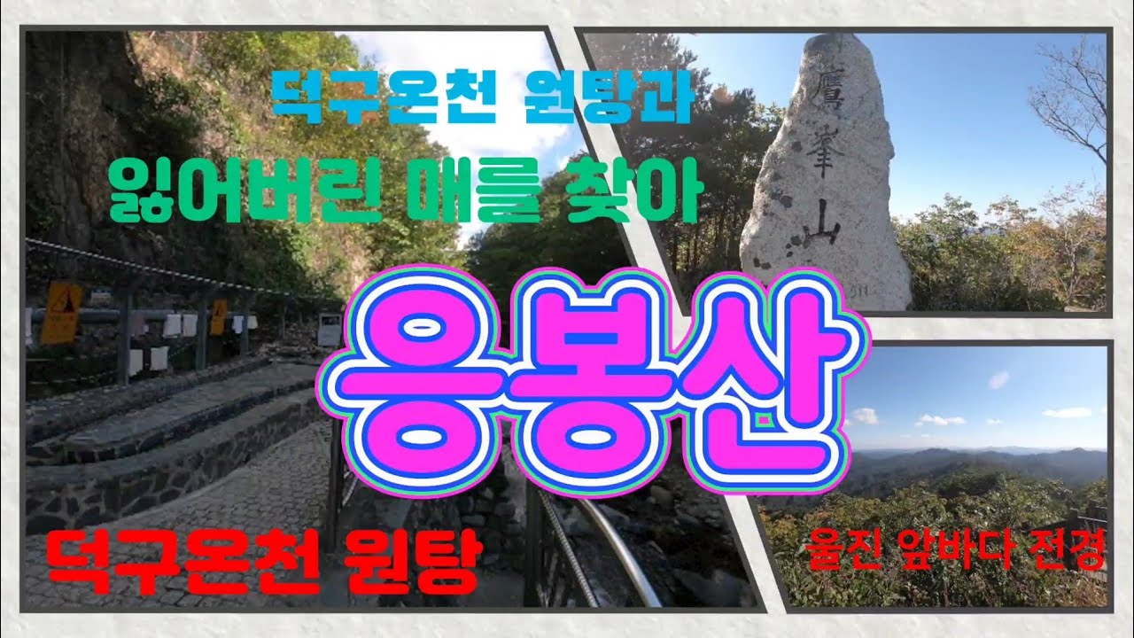 [대한민국 100대명산 #45 : 응봉산] 덕구온천 원탕과 잃어버린 매를 찾아서 응봉산으로, 13.8km, 5시간, 998.5m