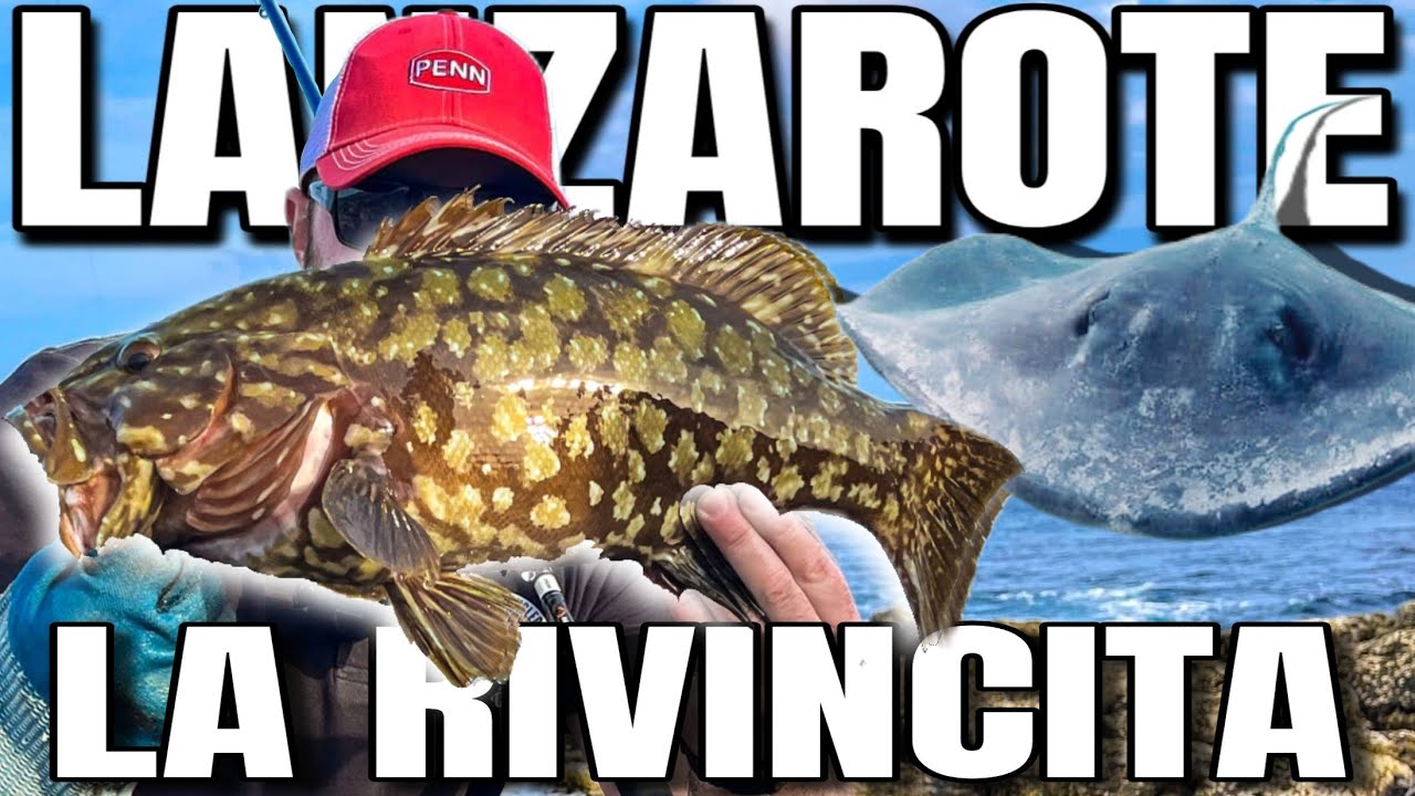 Pesca a SPINNING e SHOREJIGGING alle CANARIE - Buona la seconda (4K)