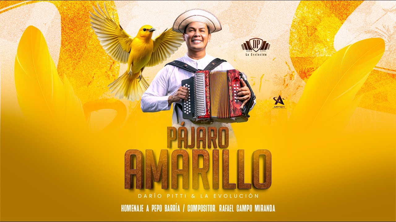 P&Aacute;JARO AMARILLO  - DARIO PITT&Iacute; & LA EVOLUCI&Oacute;N