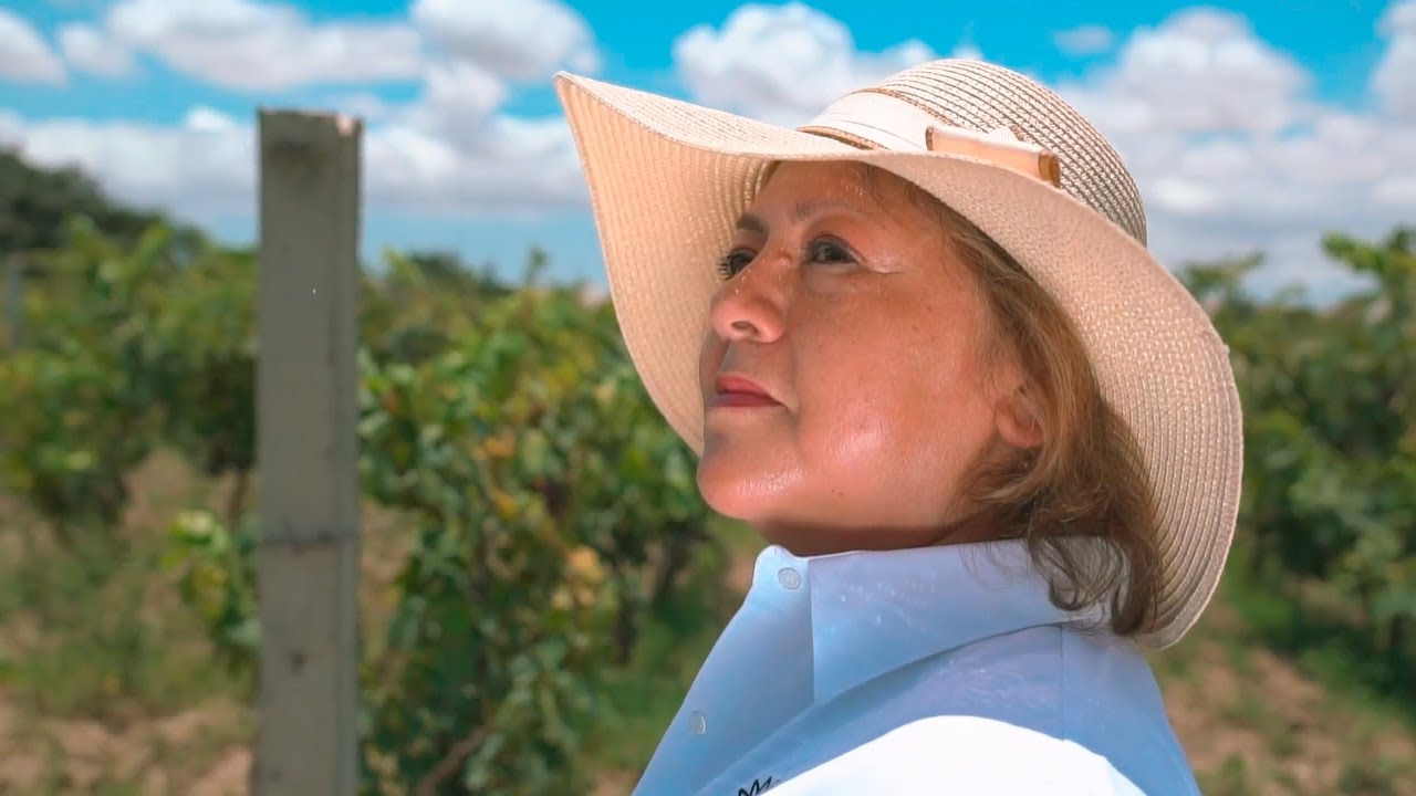 Pisco Llaska | Video Publicitario | Caravan Films