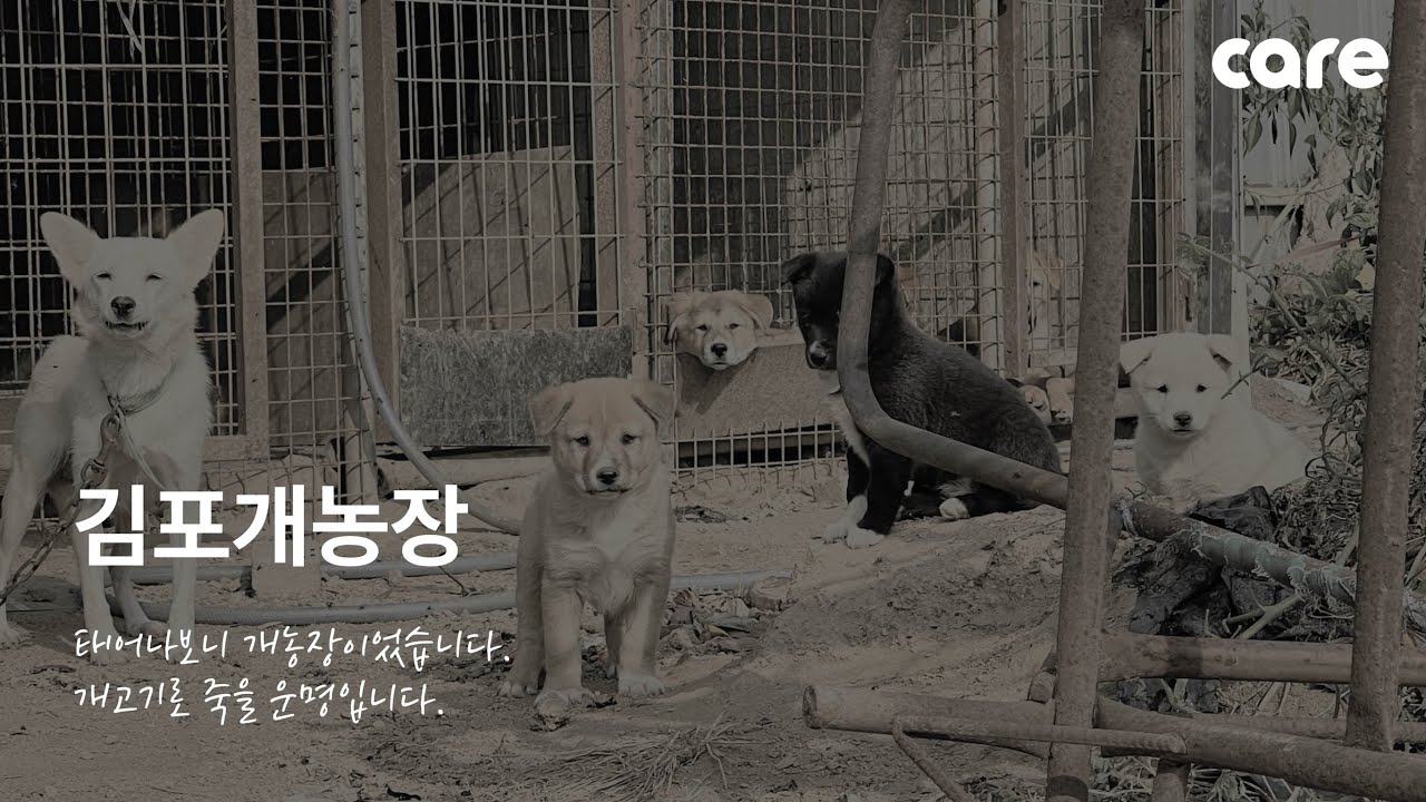 김포개농장-태어나보니 개농장이었습니다