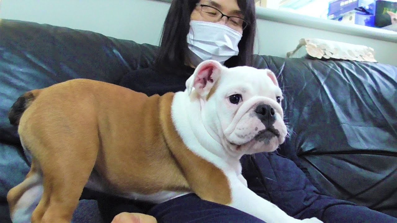 子ブル初めての実家！バァバの虜になってしまいました(笑)