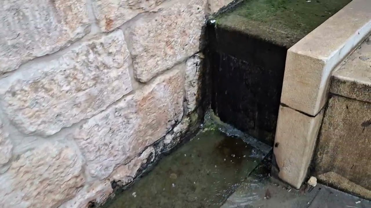 عين حطين ،  مقام النبي شعيب ، ص ، ٧/٣/٢٠٢٥ ،