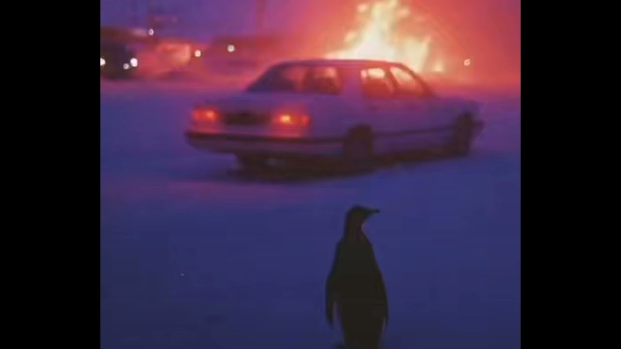 Weather disco 