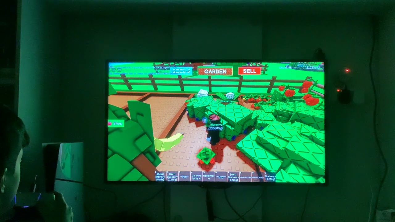 ٣١ يوليو، ٢٠٢٥