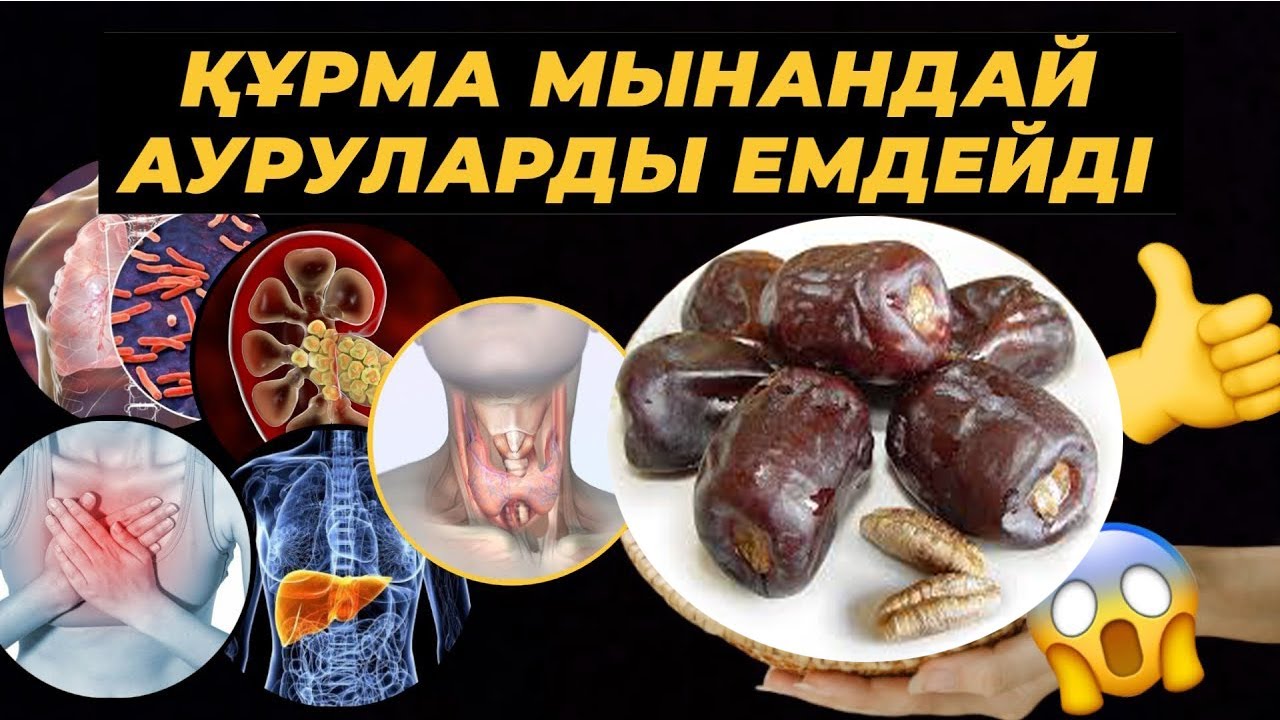 Құрманың денсаулыққа 20 түрлі пайдасы | Құрма - адамзат баласының барлығына әйгілі ең көне жеміс.