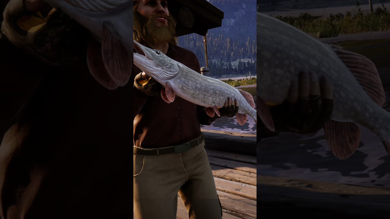 #fishing#cotwtheanglet#bigfish#gaming