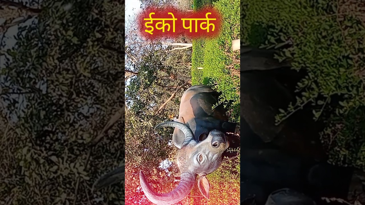 ❣️ iko Park 🏞️🥀‼️ Lala funny video