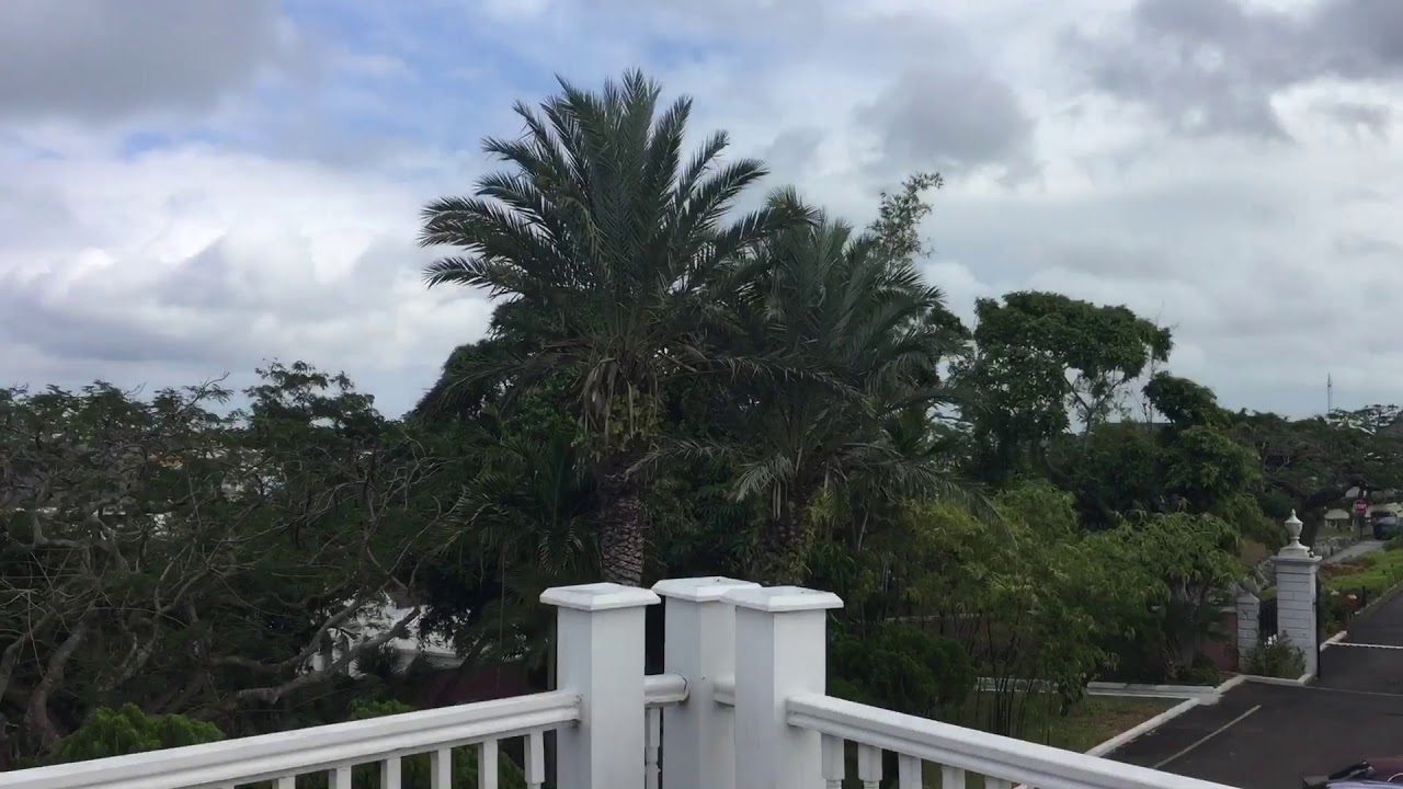 Everything Bahamian tour of Government House