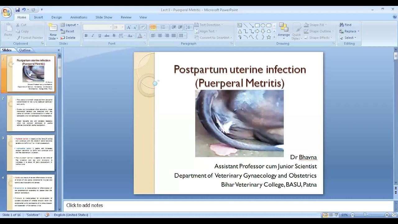 Puerperal Metritis by Dr. Bhavna, Dept. of Veterinary Gynecology, BVC, Patna