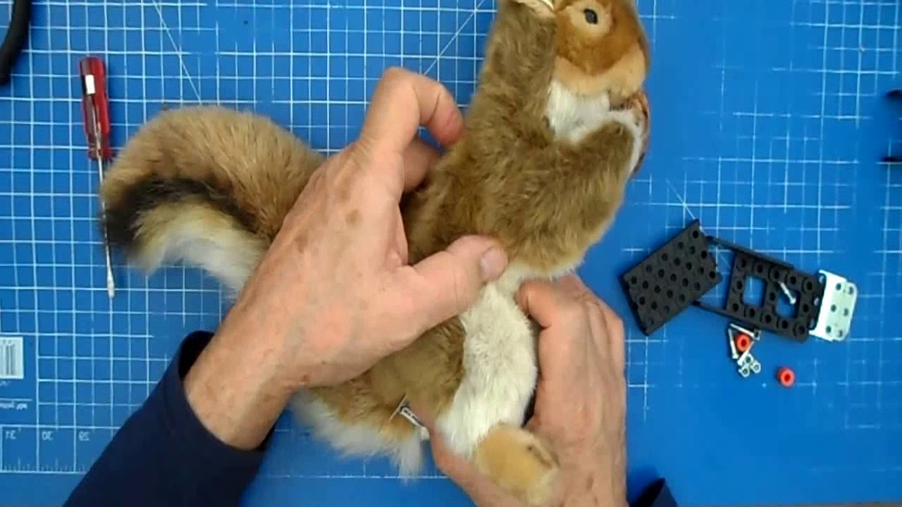 Squirrel Animatronic Step by Step design & construction