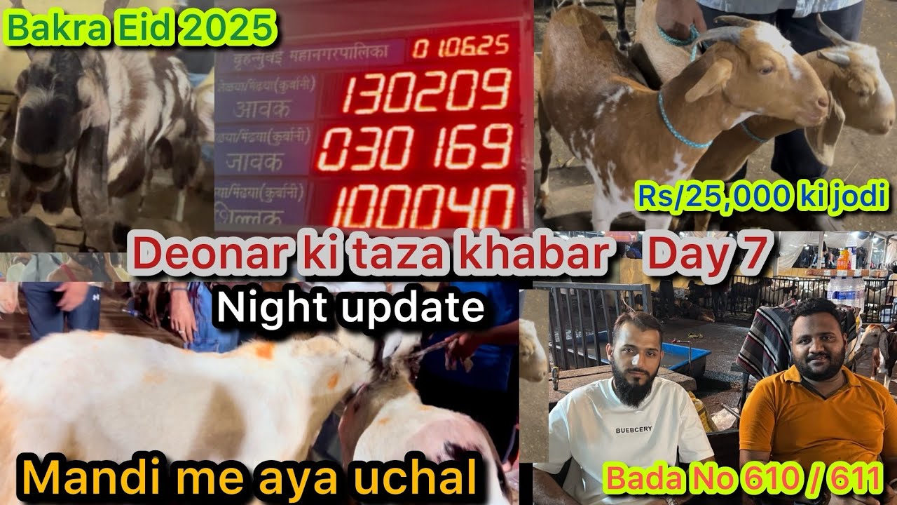 Deonar ki taza khabar Day 7 night update |bakra Eid 2025 ||mandi me aya uchal |Rizwanvlogs203