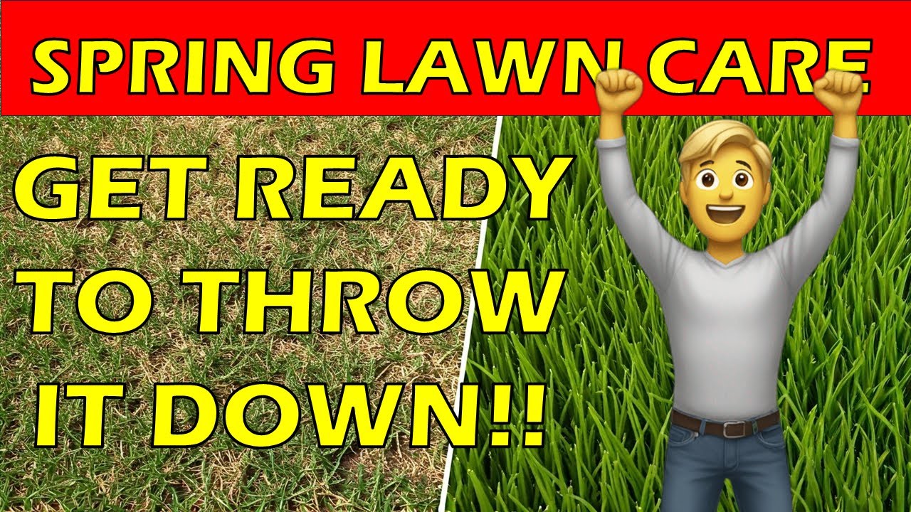 Программа весеннего ухода за газоном St. Augustine Grass
