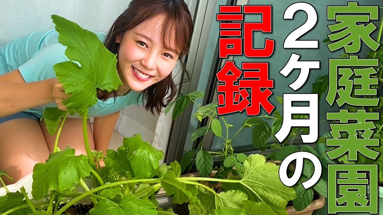 【森の畑】初めての家庭菜園、始動！