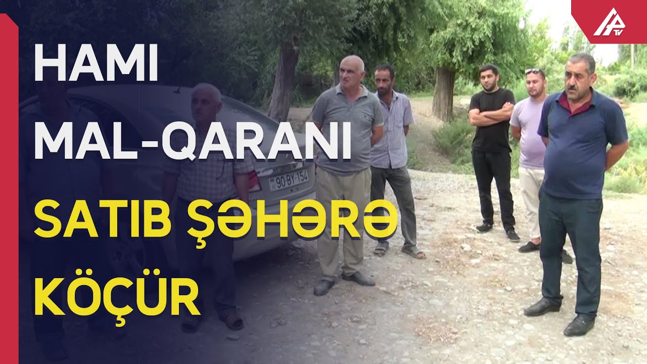 Ucarın məşhur kəndi sürətlə boşalır - APA TV