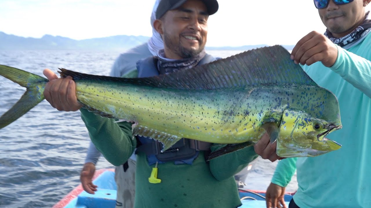Pesca Con Pulpos , Pesca De Atunes Y Dorados