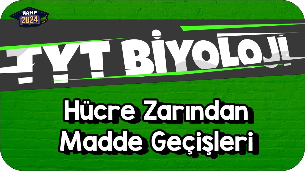 Hücre Zarından Madde Geçişleri | TYT Biyoloji #KAMP2024