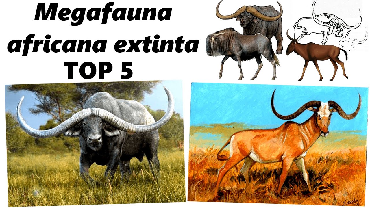 Megafauna extinta de África. TOP 5