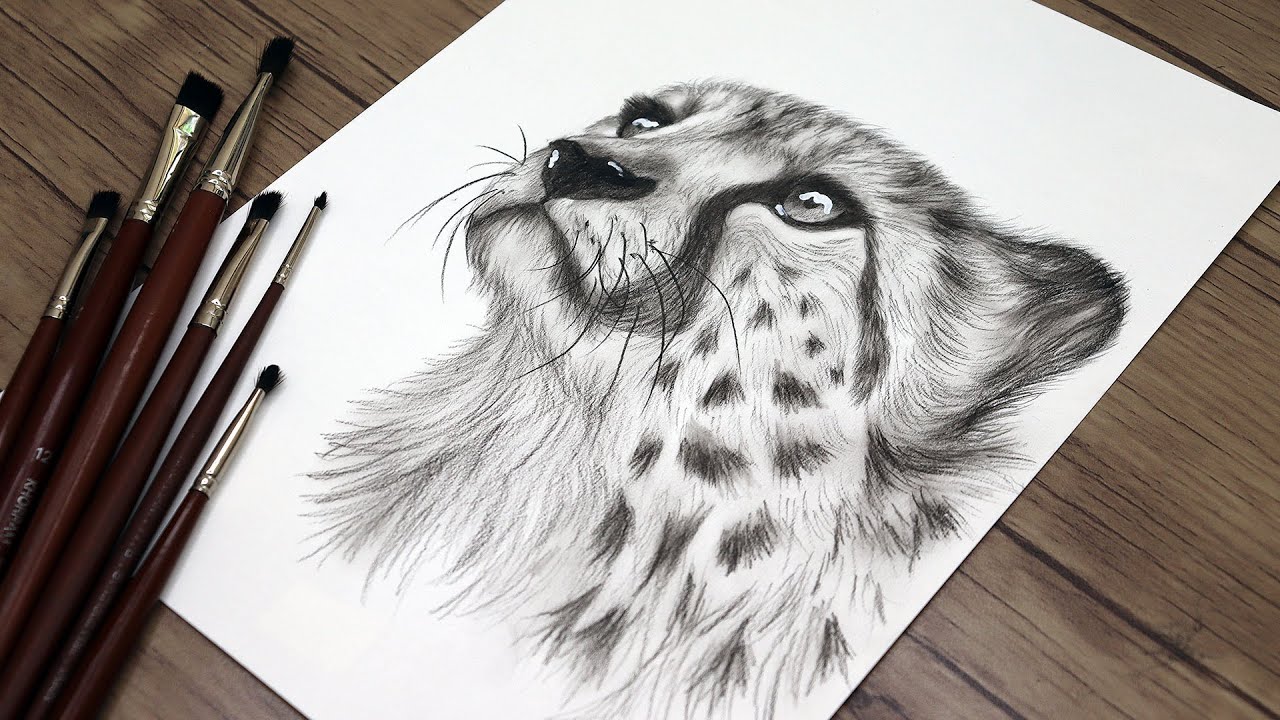 How to Draw a Realistic Cheetah Head Step by Step | Pencil Drawing Tutorial | Animals Sketch