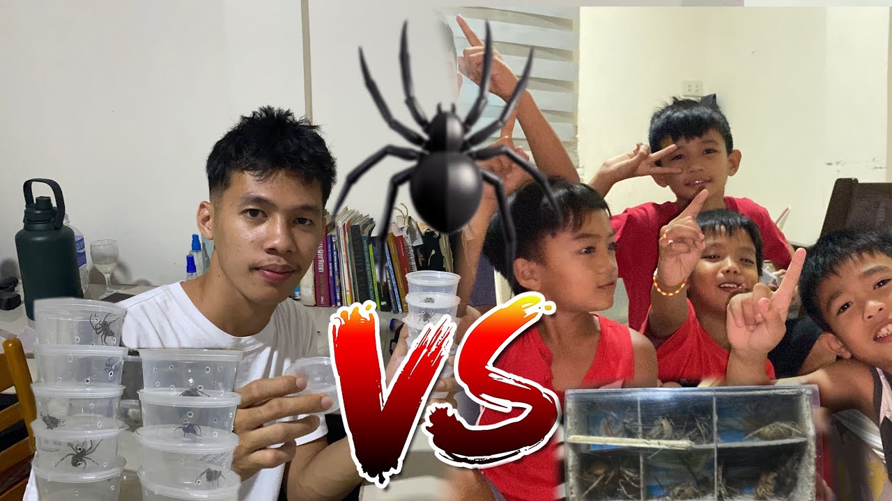 MAY DUMAYONG MGA BATA NAKIPAG LABAN NG GAGAMBA