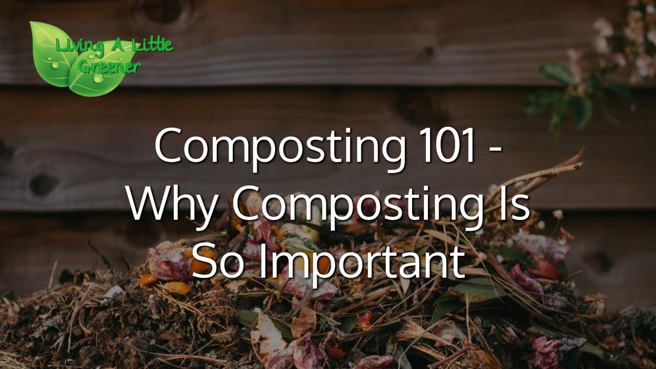 Composting 101 - Why Composting Is So Important