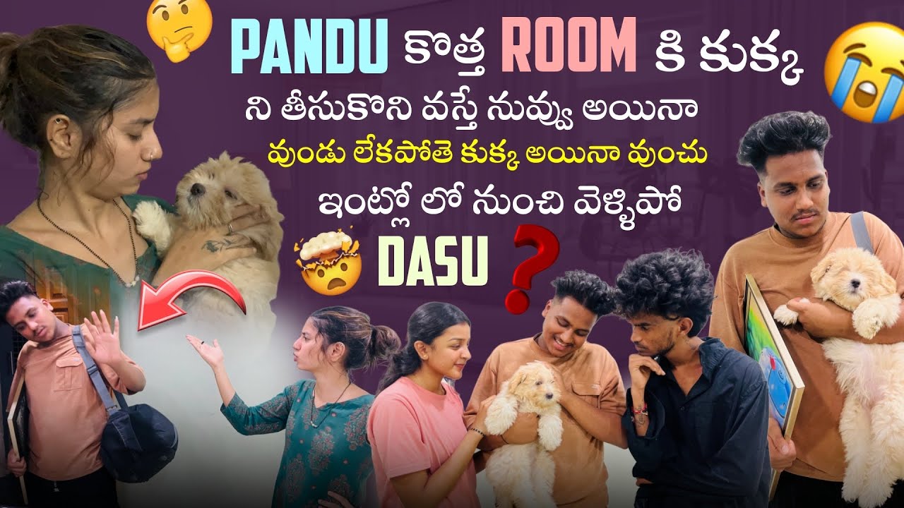 Pandu కొత్త Room కి కుక్క ని తీసుకొని వస్తే నువ్వు అయినా వుండు లేకపోతె కుక్క అయినా వుంచు ఇంట్లో లో 