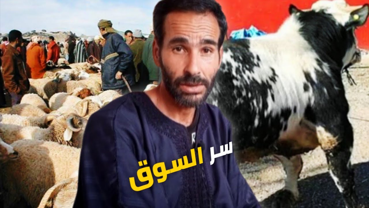 شفت بعيني ناس بداو من والو ولاو أغنياء! وناس كانو أغنياء ولاو كيسعاو السر فجوج حوايج،؟🐂