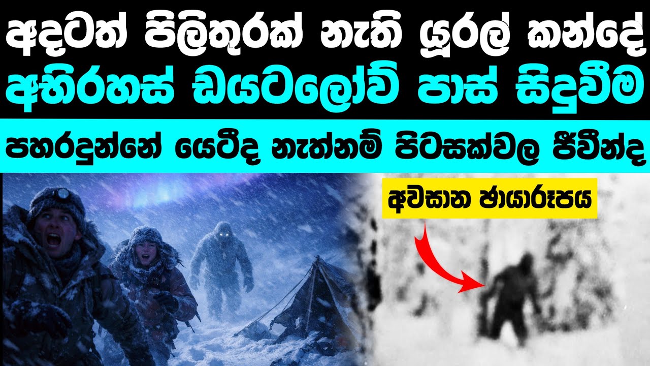 එදා එයාලට පහර දුන්නේ කවුද? (අදටත් පිලිතුරු නෑ) 