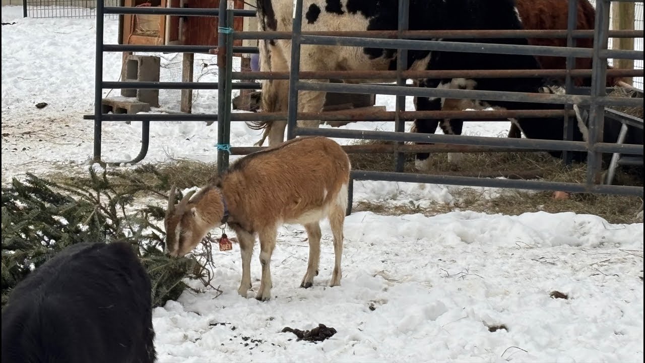 Well today wasn’t fun