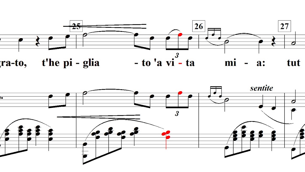 Core'ngrato(무정한 마음) / Salvatore Cardillo