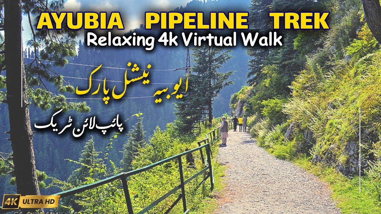 Pipeline Track Nathia Gali | Moto Tunnel Ayubia | Ayubia National Park | Travel