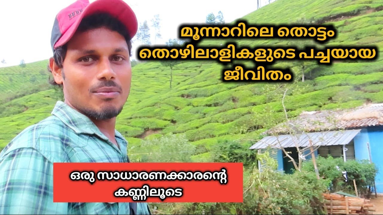MUNNAR LOCAL LIFE | മുന്നാറിലെ തോട്ടം തൊഴിലാളികളുടെ പച്ചയായ ജീവിതം ഒരു സാദാരണകാരന്റെ കണ്ണിലൂടെ