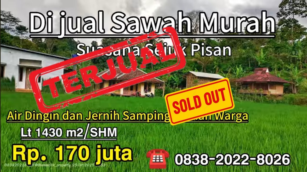 🌾 Dijual Sawah Murah di Kawasan Villa – Air Jernih, Udara Sejuk, Cocok untuk Investasi Alam 