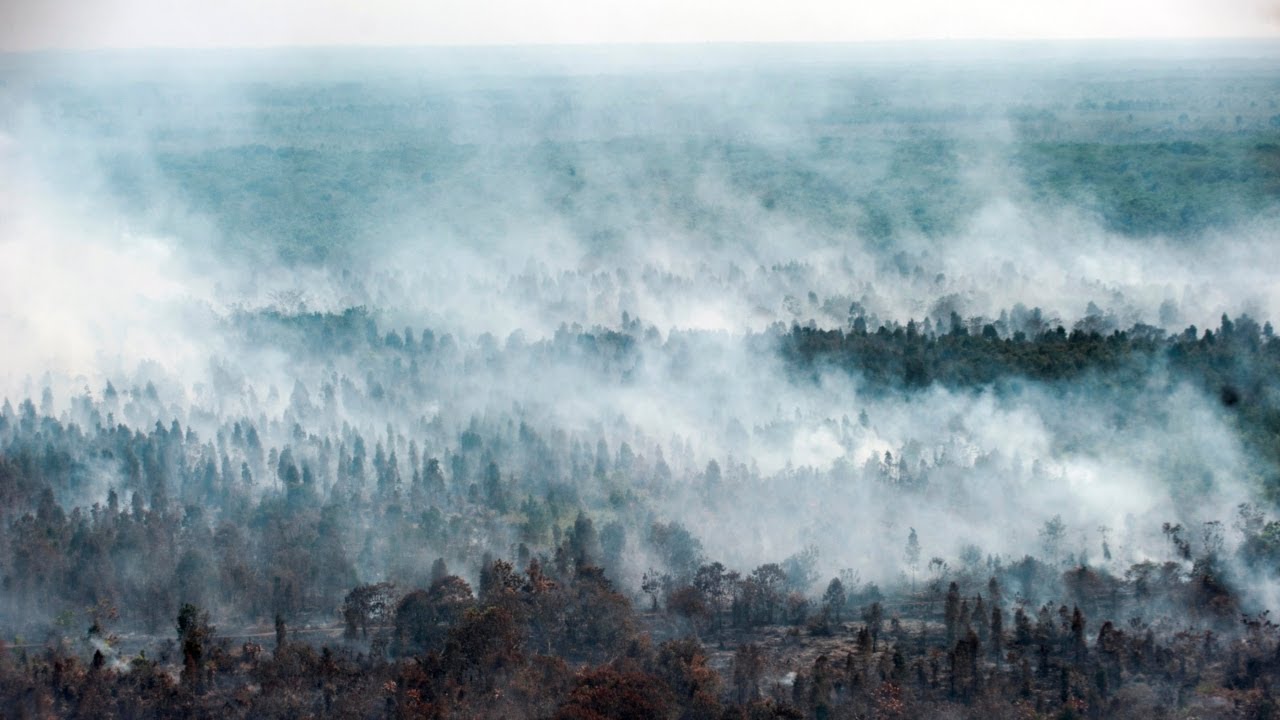 Fire shuts down parts of Yosemite National Park