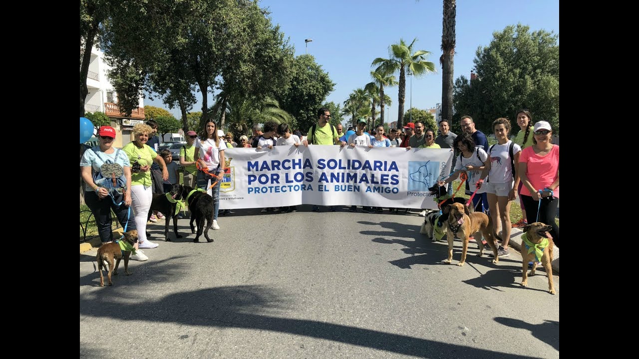 I Marcha Solidaria Protectora EL BUEN AMIGO